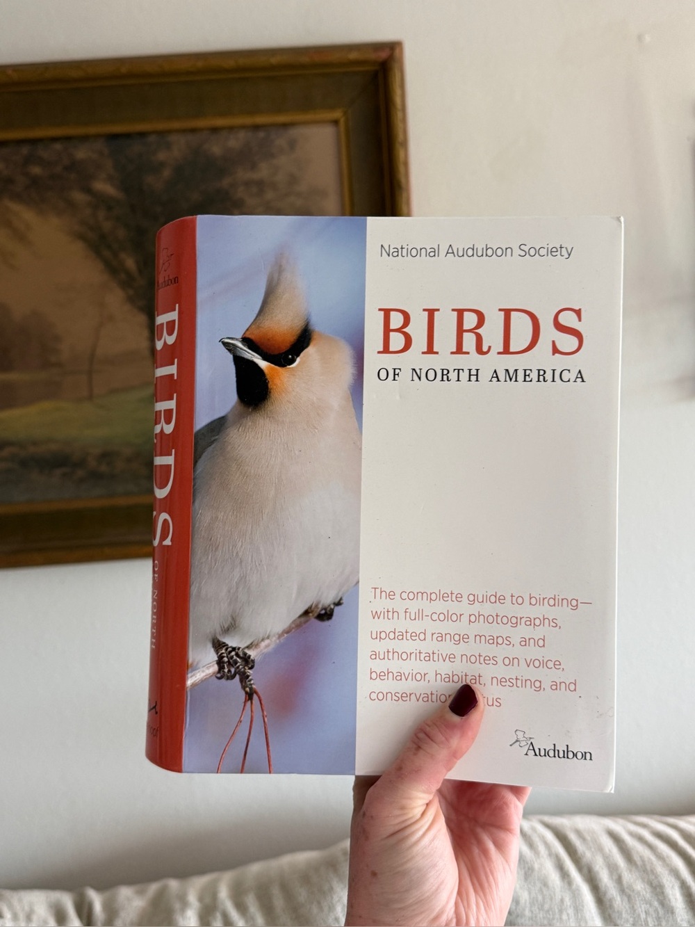 Birds of North America - White and Red Cover